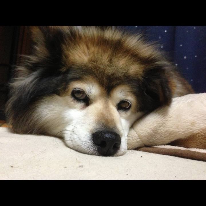 B06cca43 fbc5 49c6 9e48 235c771a4dd3 1647311875697