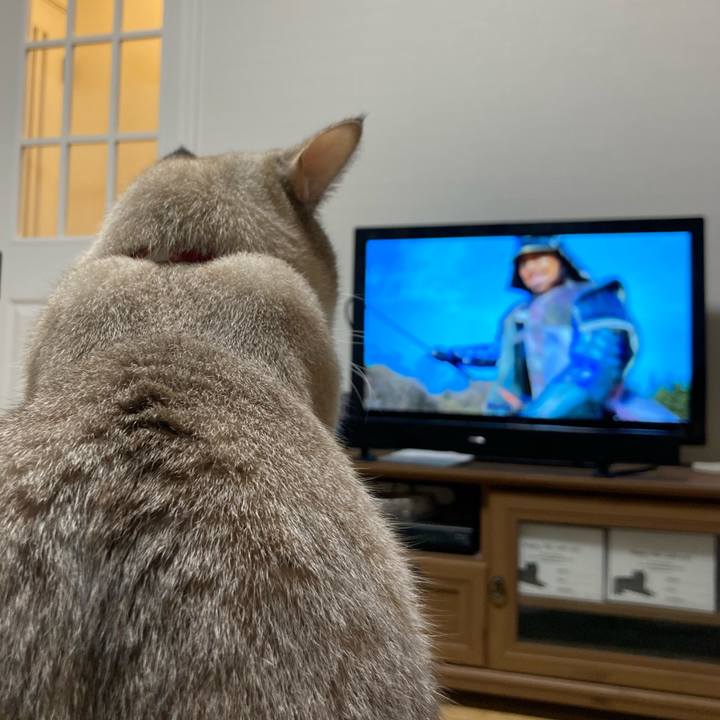 B06d1edb 8b61 4b78 9cc5 173e9cb41100 1612698835145