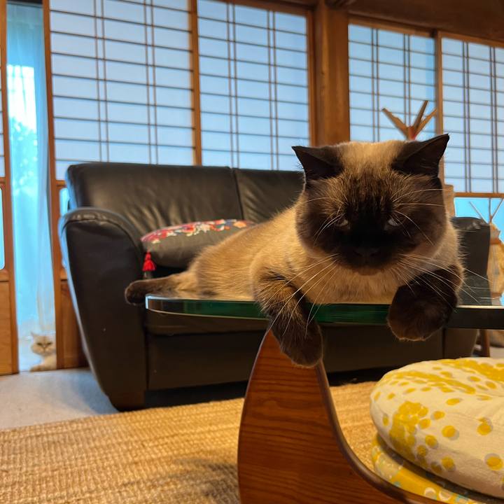 B06d2914 6719 4d8c afd4 a611ec9dc93b 1693642854979