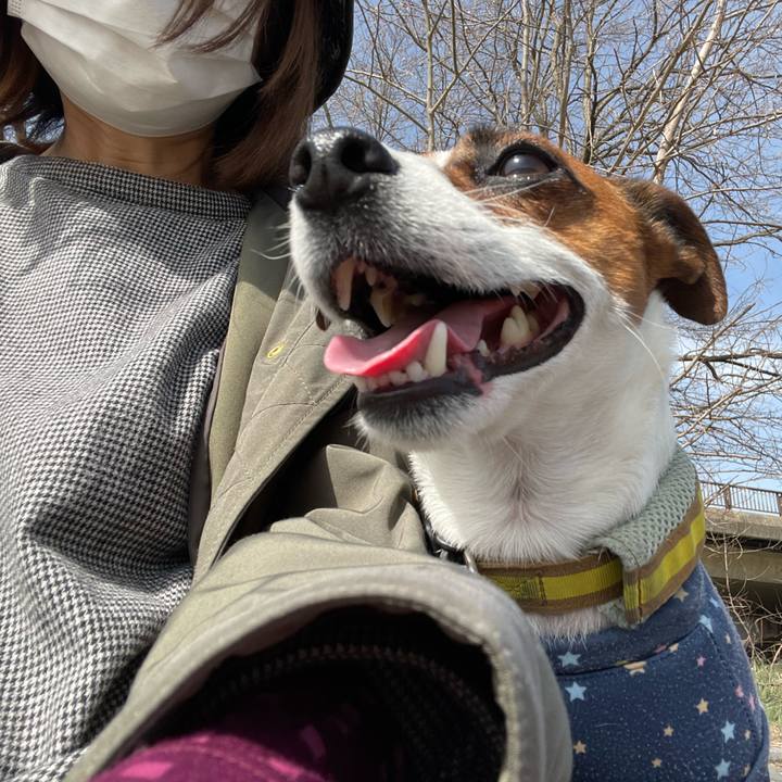 B06d4ef4 0575 417f 8eaa 3656e7d71122 1648623760726