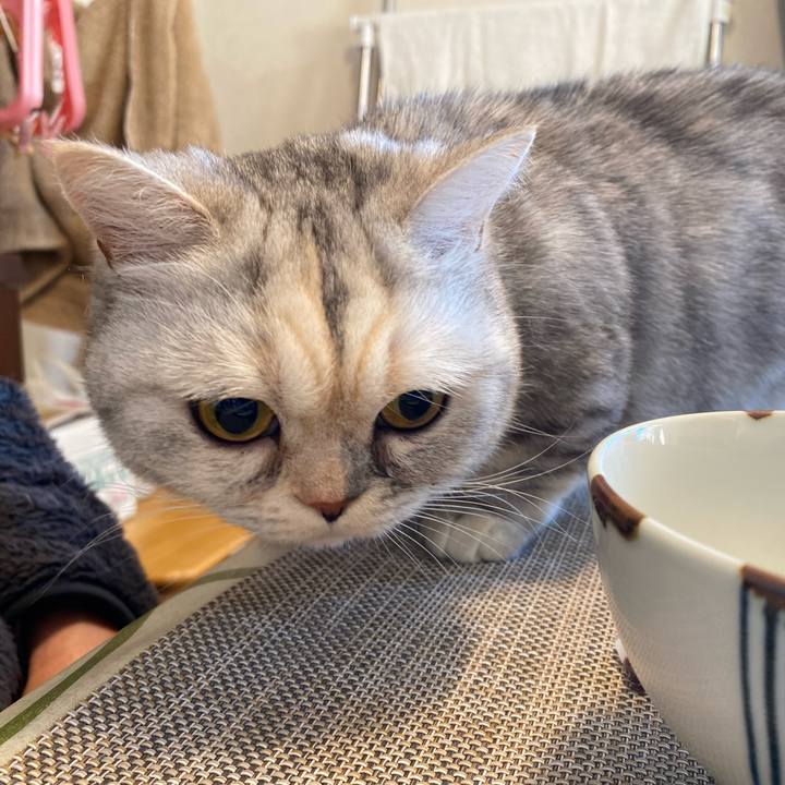 B06d7ed2 c966 4e9e b021 d16af6d4965b 1738103095213