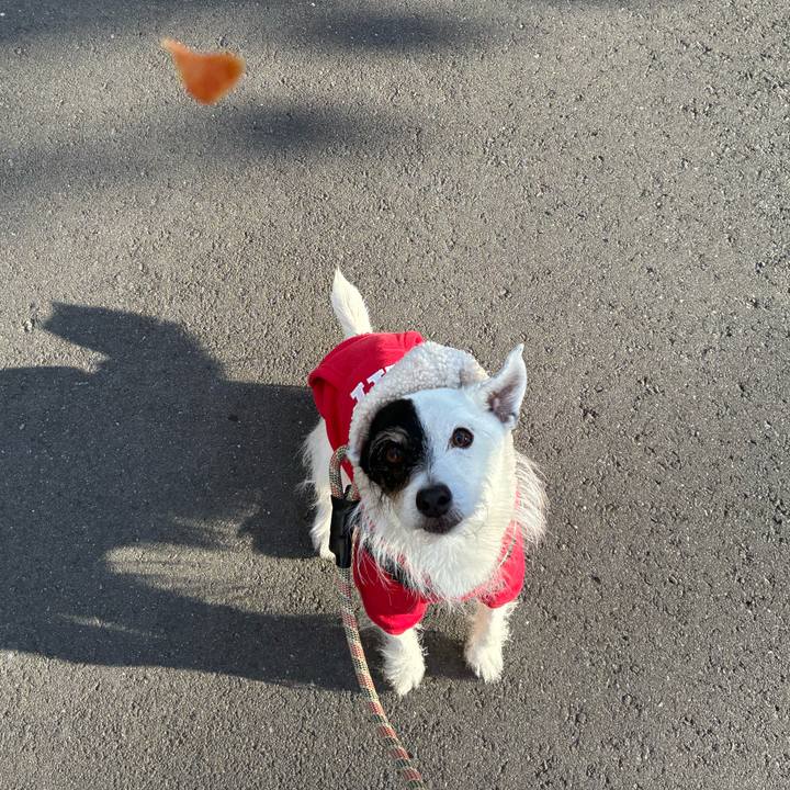 B06d9b84 5a38 407d 9162 342a397ac78b 1765236634101