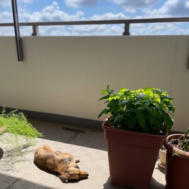 B06da778 1cdd 40ca 81ad 441ed9404c71 1713320958116