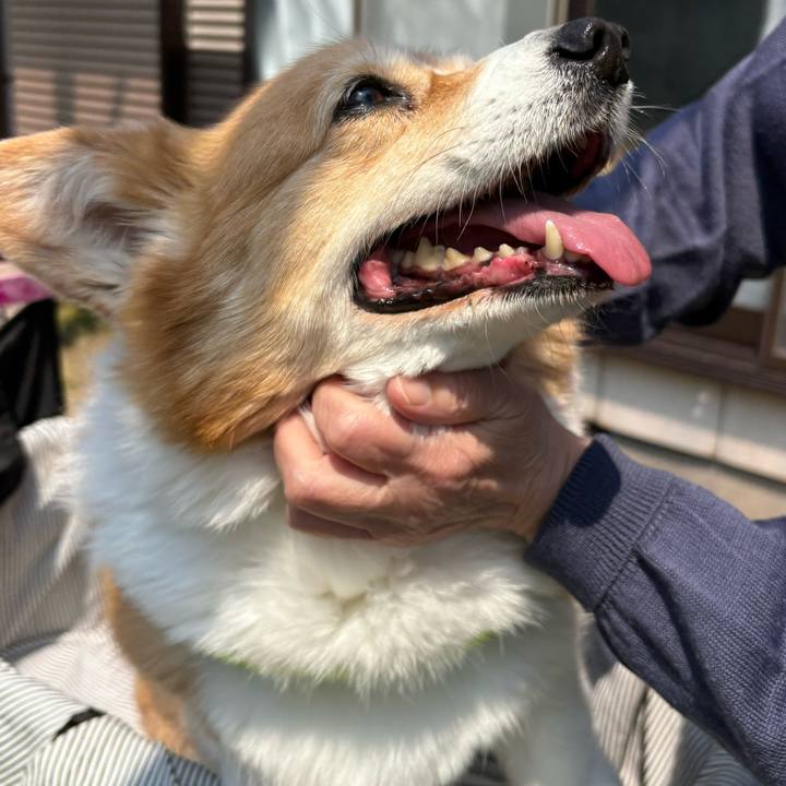 B06da88b 4d7b 42c5 b692 bf566db03426 1744775499665