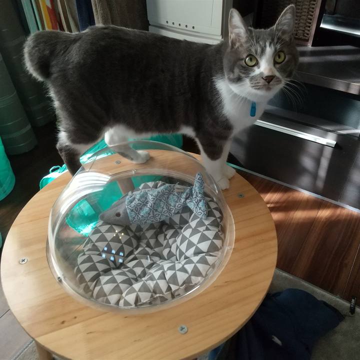 B06db113 db1a 473b 8c59 1cc3bf30e4fb 1606526396006