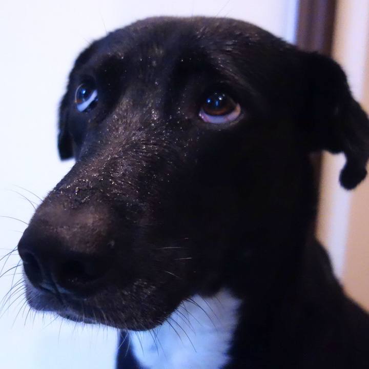 B06dc1fb 6dda 42e3 abd1 5eeffcf09a1b 1590970370601