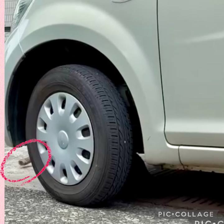 B06de221 3a09 4a99 aaec 7cecdc7ca147 1745376956904