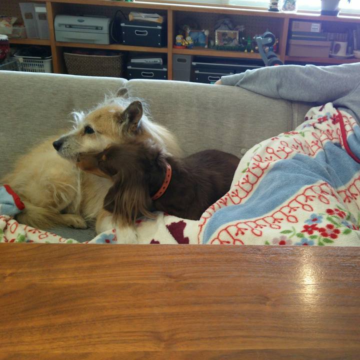 B06df3ab 2d42 4c4d 95b7 b3c6437c5ad0 1514784524003