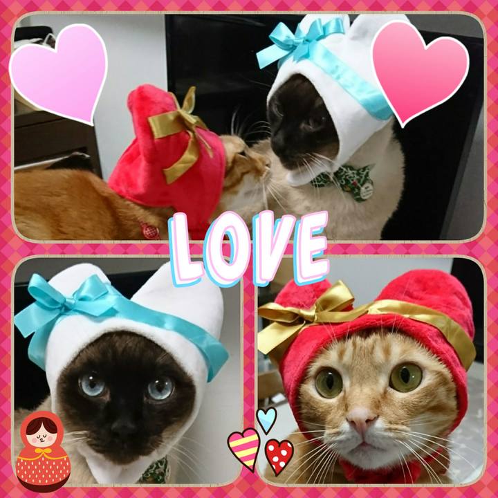 B06e1900 a826 4756 a8c4 67bc59460053 1518606048964