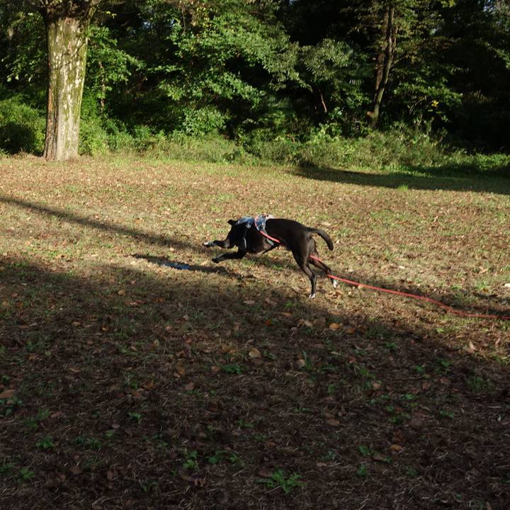 B06e1e90 417a 4372 8dc9 85f939e69576 1730333030497