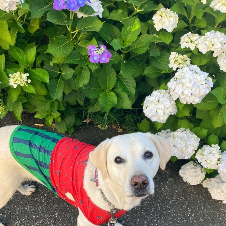 B06e3c83 9d8e 4b87 a8f6 2b31349eef0f 1685857400355