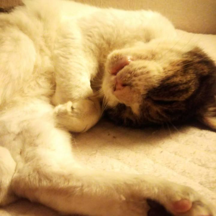 B06f12e0 aa69 4669 a77e ab5dc9bc2b3a 1568883378212