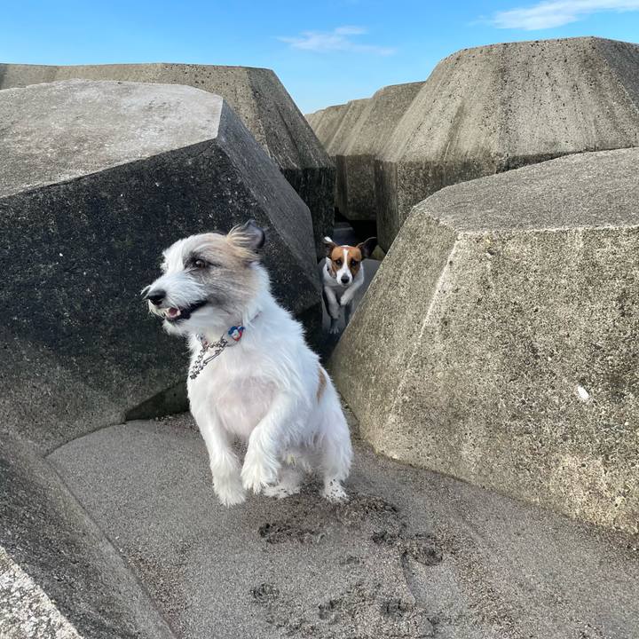 B06f1817 45fb 4ed9 8345 614390a8d73f 1634604249776