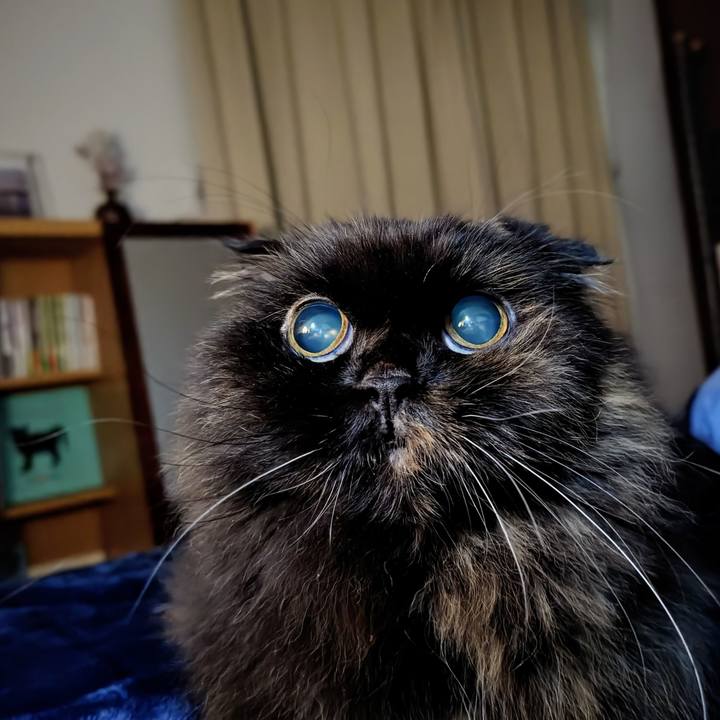 B06f262c 98fe 4415 af35 6d68f0bd4419 1766673963745