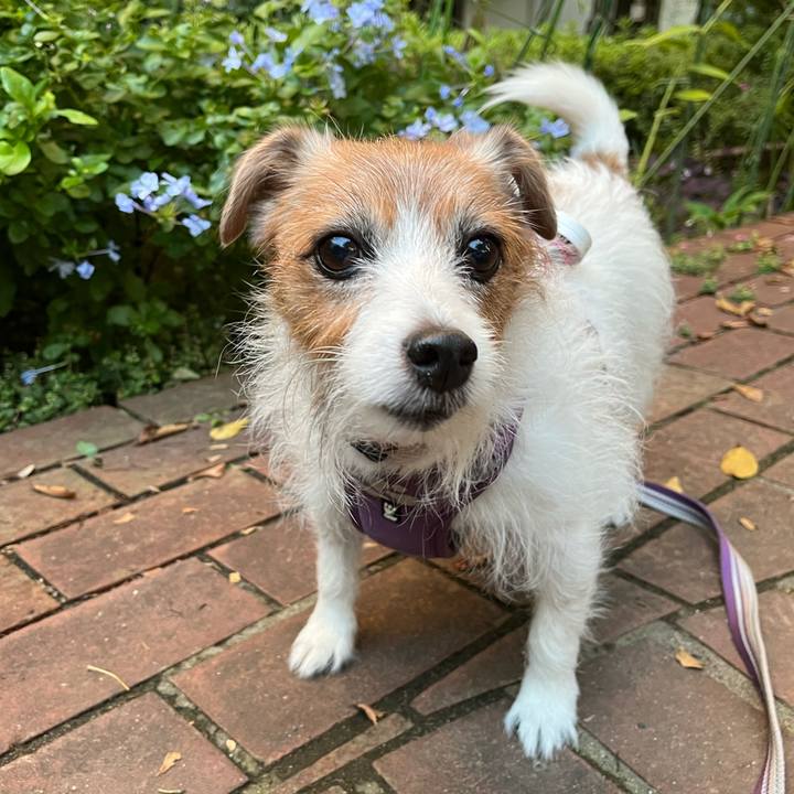 B06f486c ce47 4832 ab5d dcb91dce0648 1698620648737