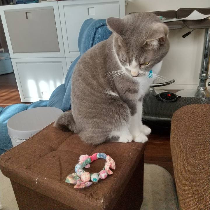 B06f4b89 537b 4474 bfb2 3f362e084eaf 1638682507390