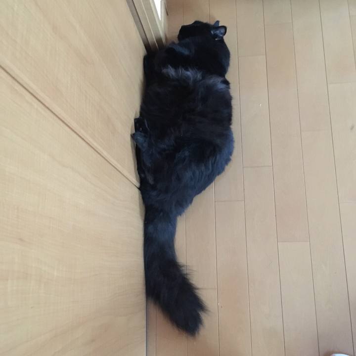 B06f5652 cf5e 4926 910c 6119319c0610 1532656706424