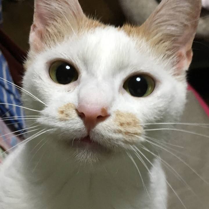 B06f594b 63e5 44c3 95a2 81bd91dd5a2f 1594475912153