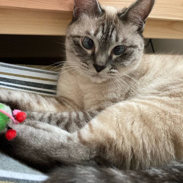 B06f6895 3eed 48f3 b660 0a9fa73b98c8 1657324713256