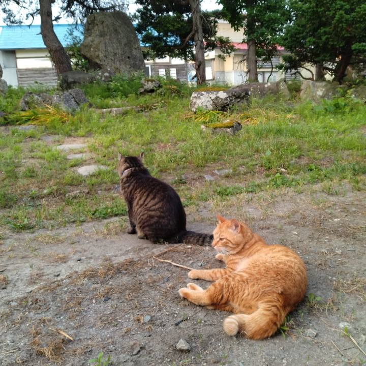 B06f7e3a de75 4673 8926 3ed50bca862c 1687818444570