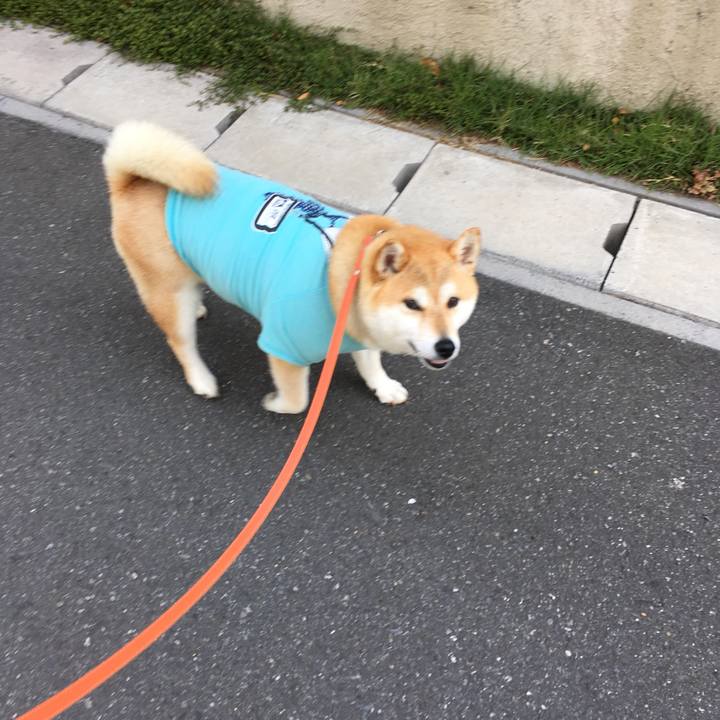 B06f8606 6b6b 4baa b376 15fb8011609d 1559777629779