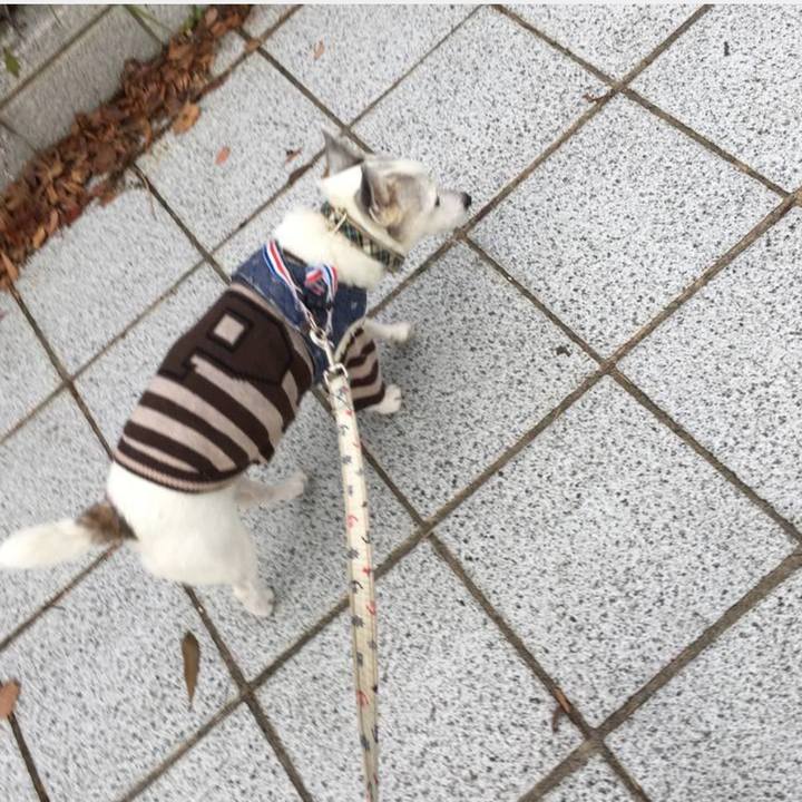 B06fb0af 9465 422a afcb 598f04ba8315 1764717240720