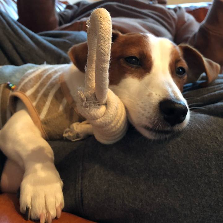 B0700a91 93a7 4129 ac02 2bb8e0725d65 1545734786371