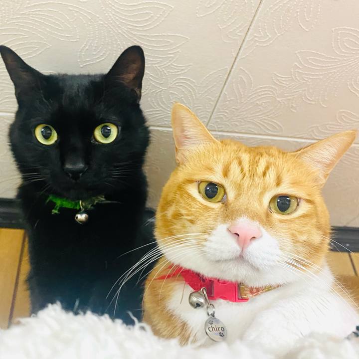 B0702044 1d4e 4330 bb61 44171027f3fa 1737204494452