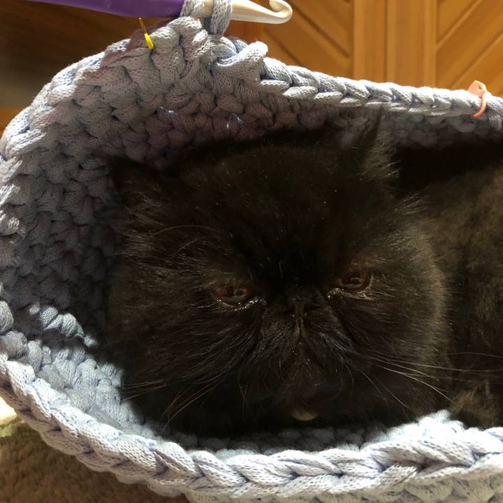 B07020c2 7750 49de bd41 bcacf383431f 1598107075856