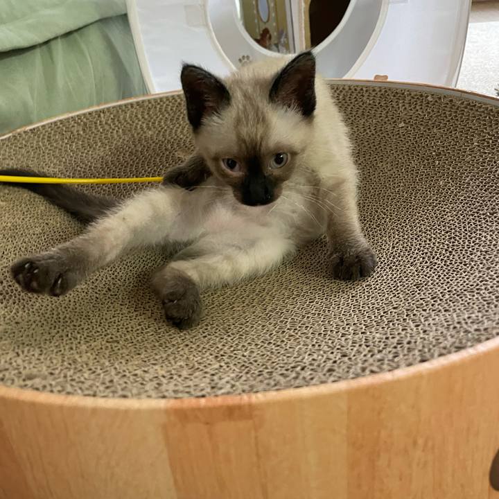 B0705229 ca96 4ec3 a317 f1a91ba16bc8 1688587606920