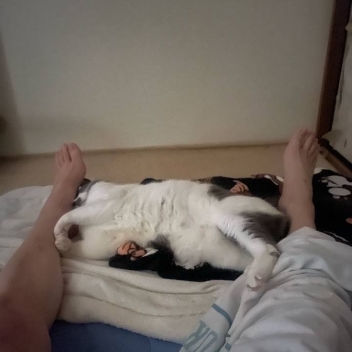 B0708cf6 25a4 45ca 94df 76d59f6715fc 1750714256266