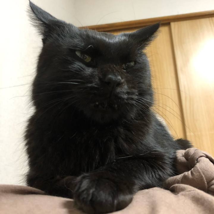 B0708d1c ca26 4268 9db8 287a2f3e8af6 1604402793985