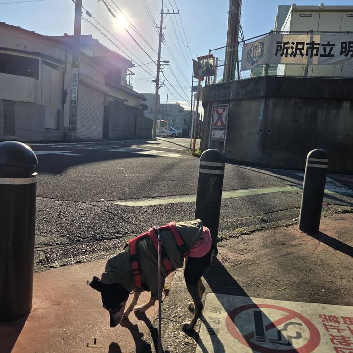 B0709f97 dc03 4ac2 9117 0c93209b5d86 1762904622451