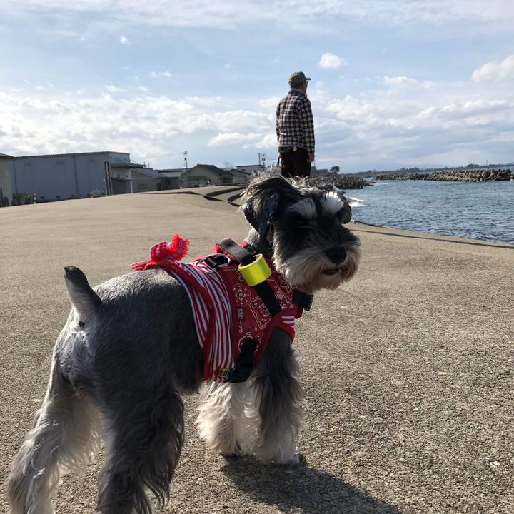 B070b28e 9027 4d5b 8fb4 d45503c8c632 1573993727994