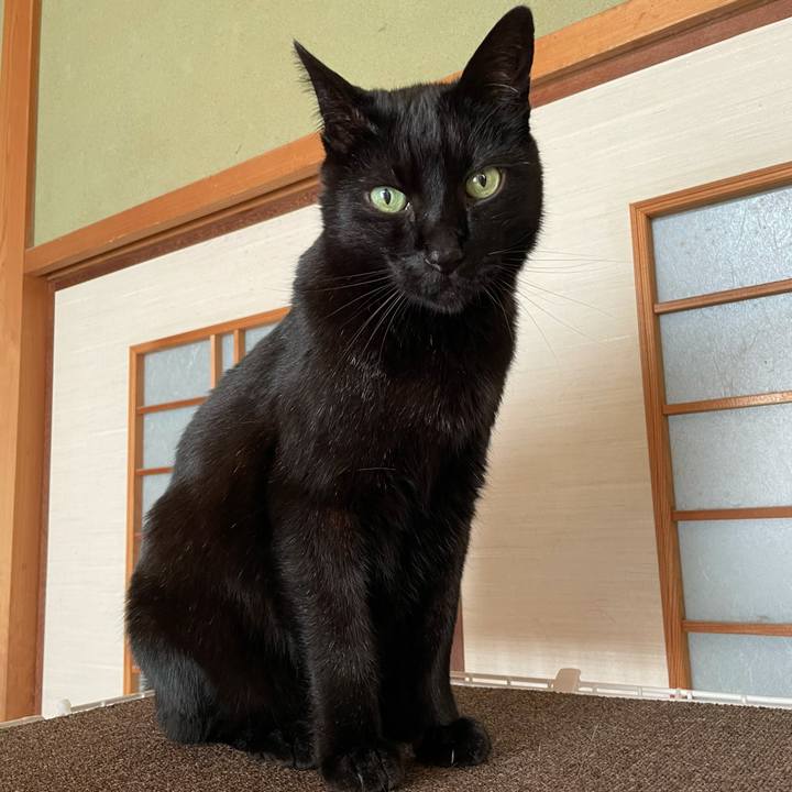 B070ecd9 9711 42c0 88bd be32e044698d 1620698170219