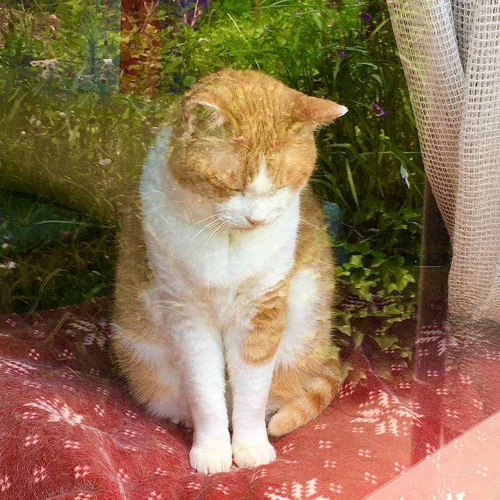 B070ef1b 76c9 4b1d 86ce e00792d124a1 1590808798325