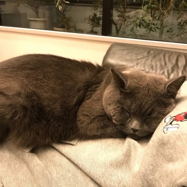 B0710a8b d566 44a8 834b 29e252050086 1521380396844