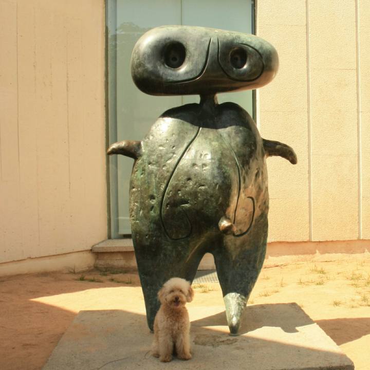 B071a0b3 ce25 4bc1 8c51 549aab9fbbaa 1530189333556