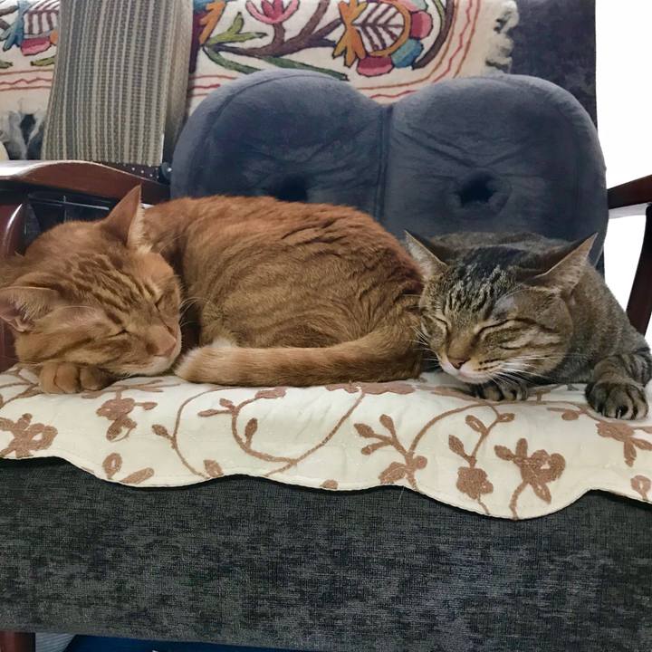 B071bace 19ed 4dc7 b5ac c8831a5311aa 1528276386246