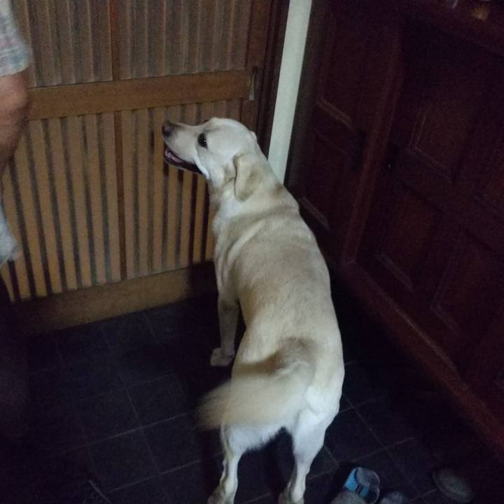 B072052c 85f1 4e35 9b02 c5ba2d0c4b95 1533381654949