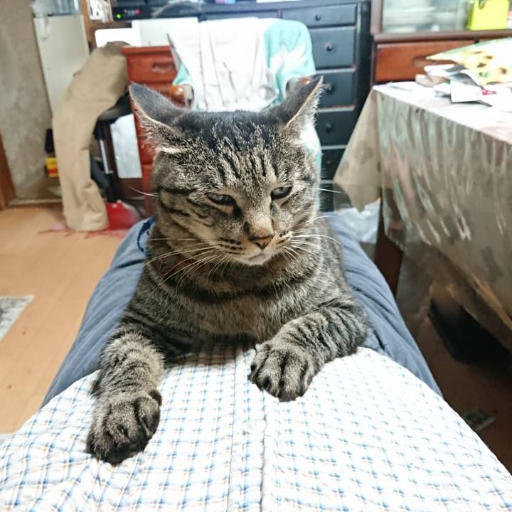 B072445e ce2e 4a9d 8e8e 8b6cf242dc21 1658391504115