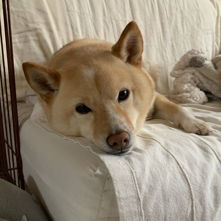 B0726806 30e2 40d6 ae48 7e3a0e6a4ac6 1618618885380