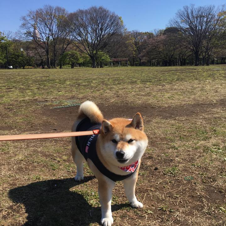 B07274f1 9a02 4461 a982 47eff7f40ce9 1555152785082