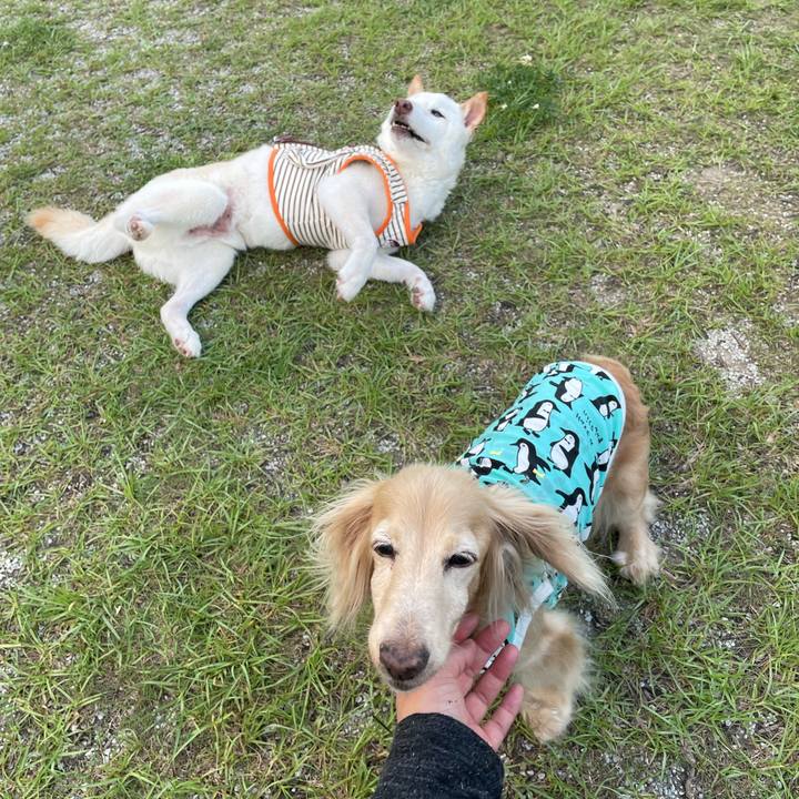 B072bc9d 1013 4fd1 8792 f05aa5f369fa 1686756221661