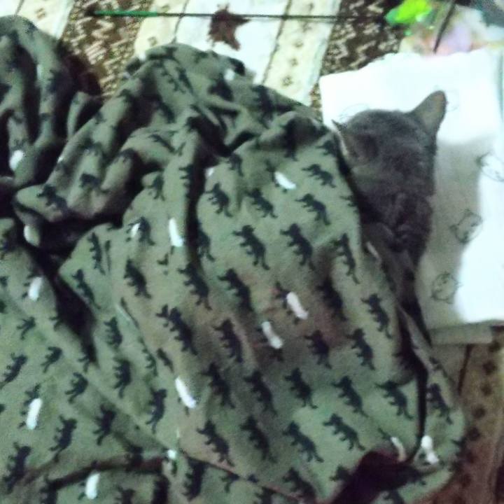 B072e3f7 e1bb 4c91 af7e b93064c5c9d1 1675117306338