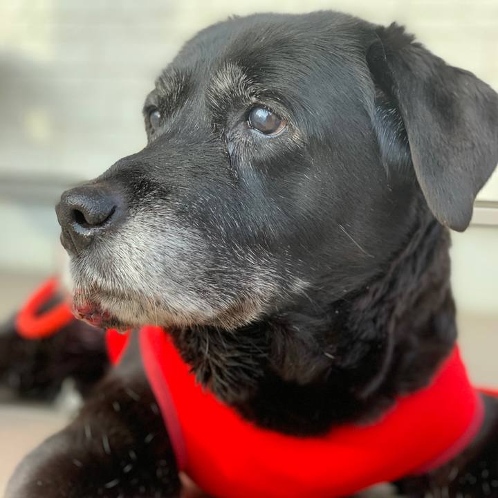 B072f1ad ee3c 4968 b9ef 901bb10a3e68 1644620978171