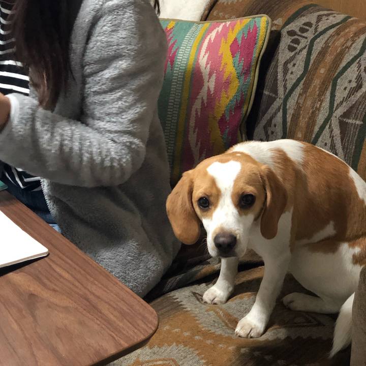 B0730d0b 87d2 4a7b a984 e11132d049a3 1554456090749