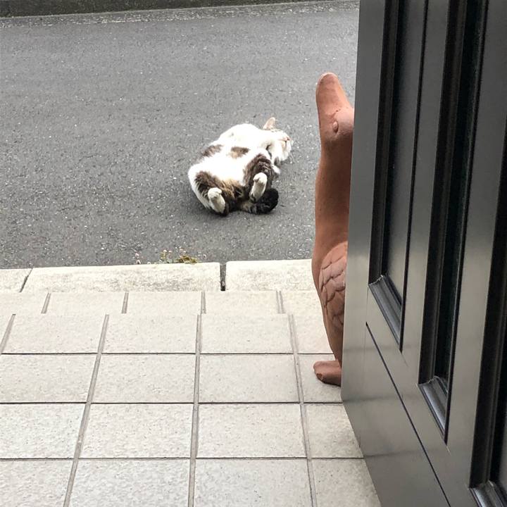 B07312c7 13d9 4547 b2f3 be1f4542cd1d 1590405393805