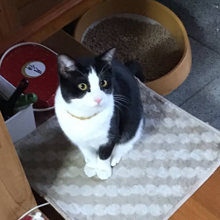 B0738e5f a484 42af 8daa cf2e9d4060c3 1647505255738