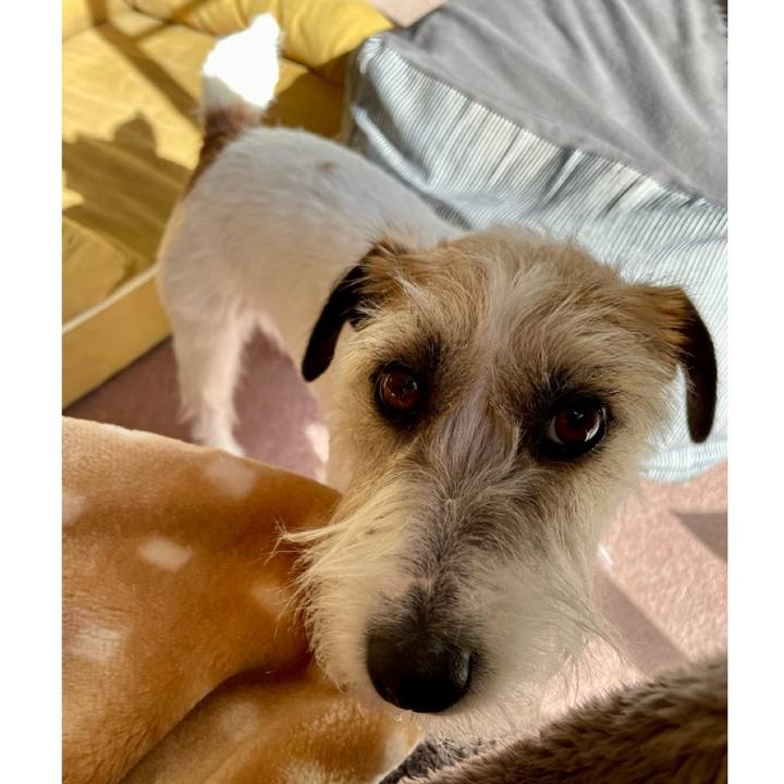 B073b8e4 9f60 4cae b3e1 d6a5a8e06044 1674882483723